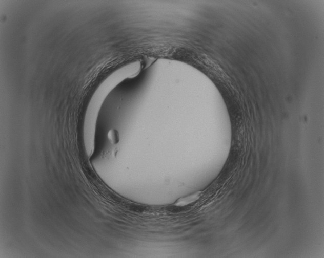 X0000087360693200705181152