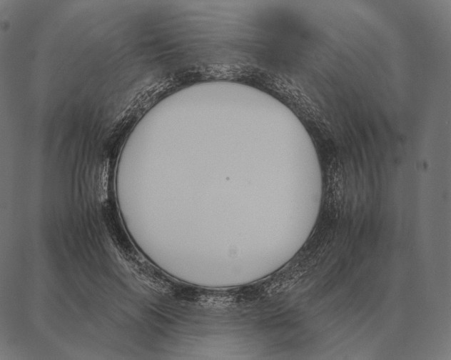 X0000087360694200705181152