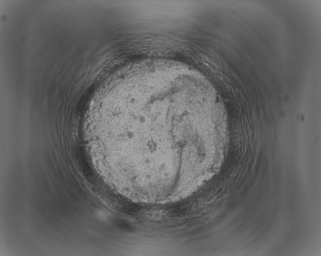 X0000087360695200705181152