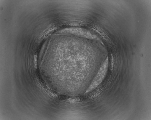 X0000087360696200705181152