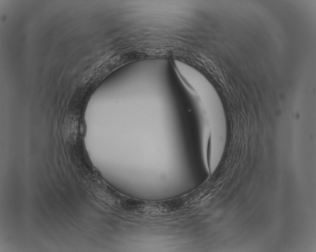 X0000087360697200705181152