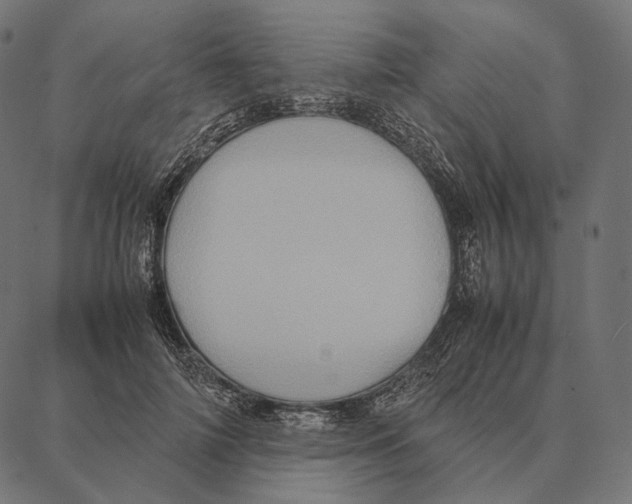 X0000087360698200705181152