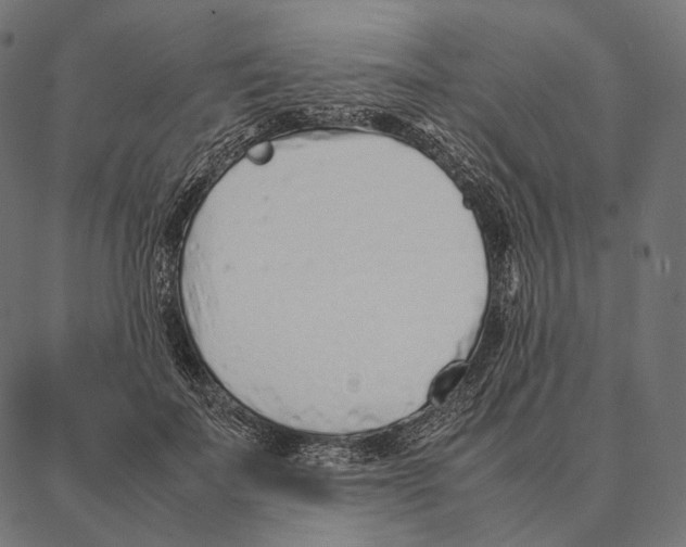 X0000087360699200705181152