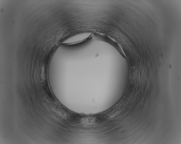 X0000087360700200705181152