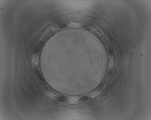 X0000087360701200705181152