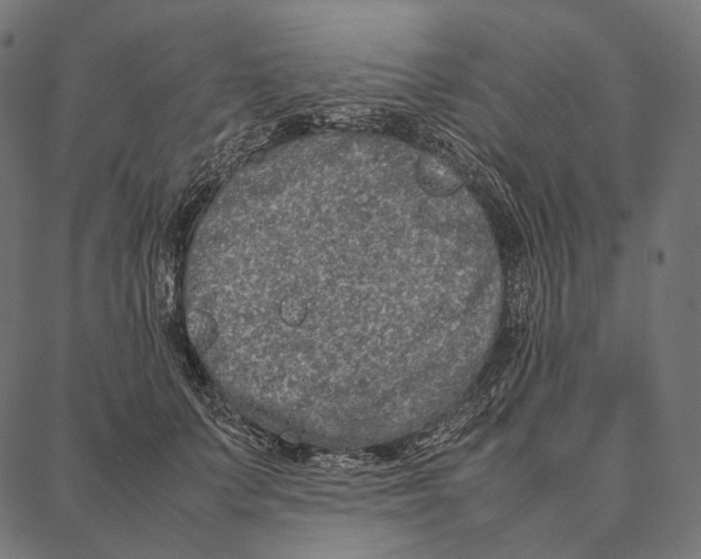 X0000087360703200705181152