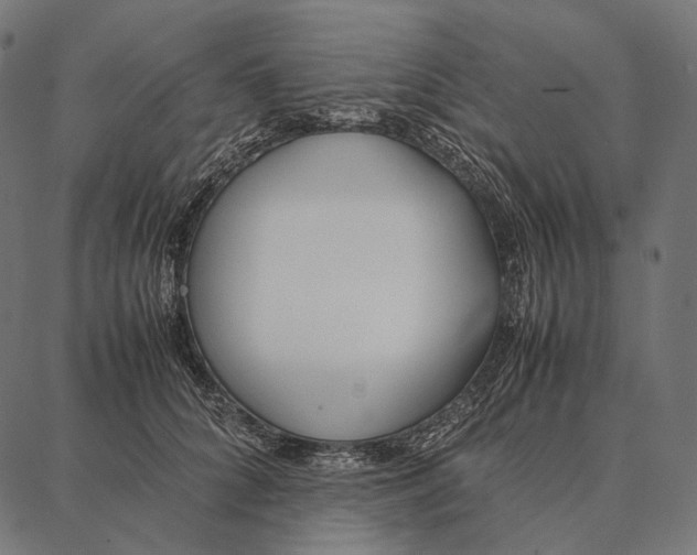 X0000087360704200705181152