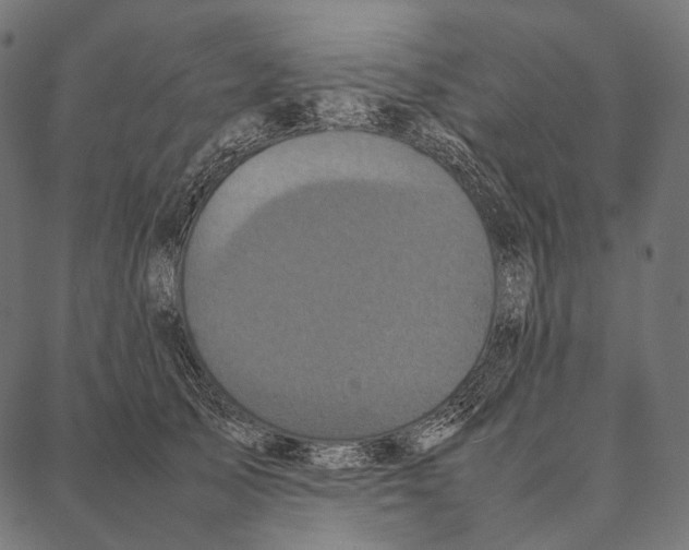 X0000087360705200705181152