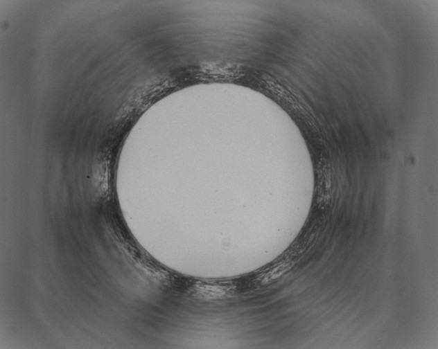 X0000087360706200705181152