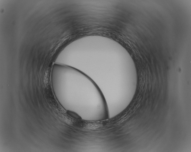 X0000087360708200705181151