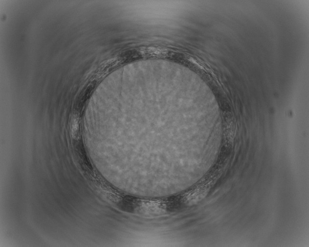 X0000087360709200705181151