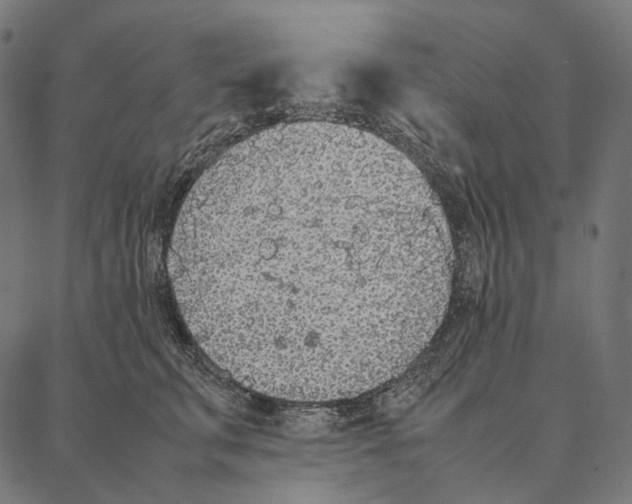 X0000087360711200705181151