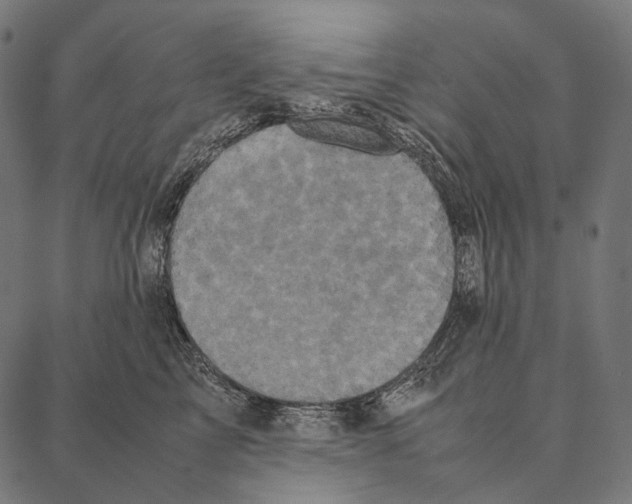 X0000087360713200705181151