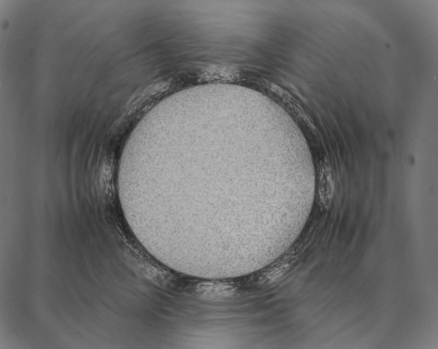 X0000087360714200705181151