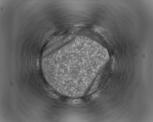 X0000087360716200705181151