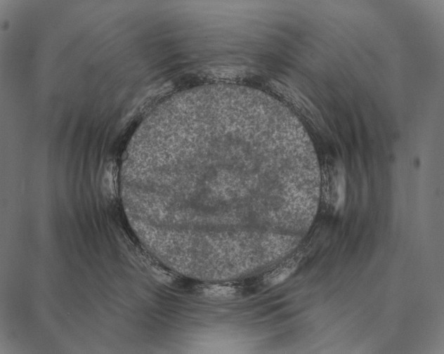 X0000087360718200705181151