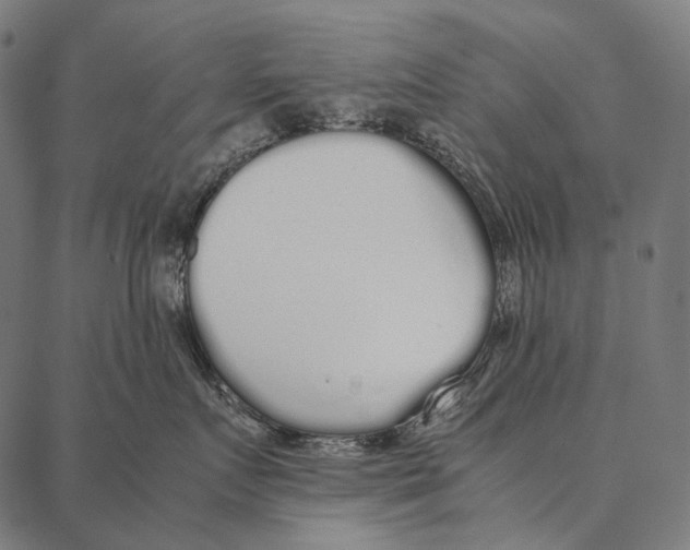 X0000087360719200705181151