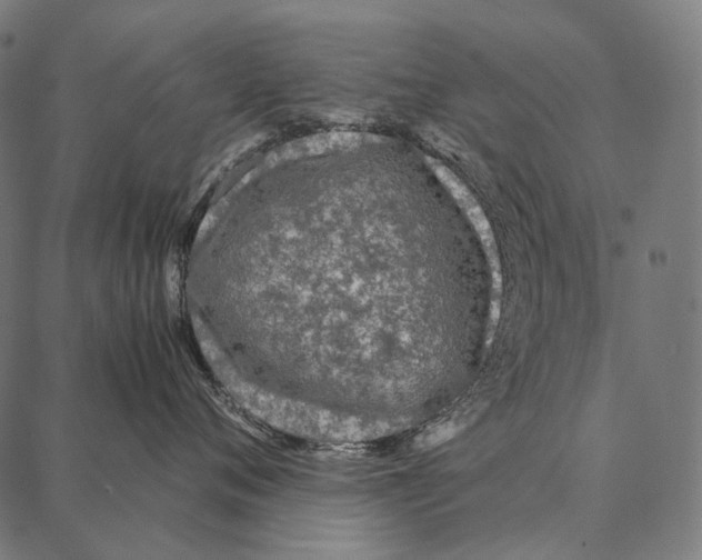 X0000087360720200705181151