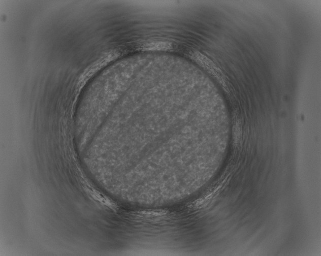 X0000087360721200705181151