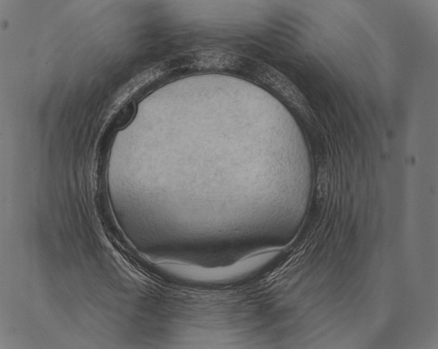 X0000087360722200705181151