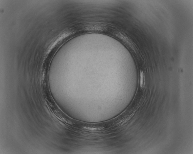 X0000087360723200705181151