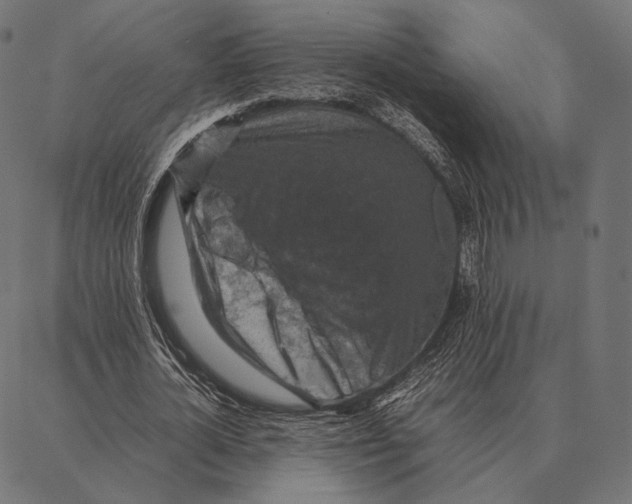 X0000087360724200705181151