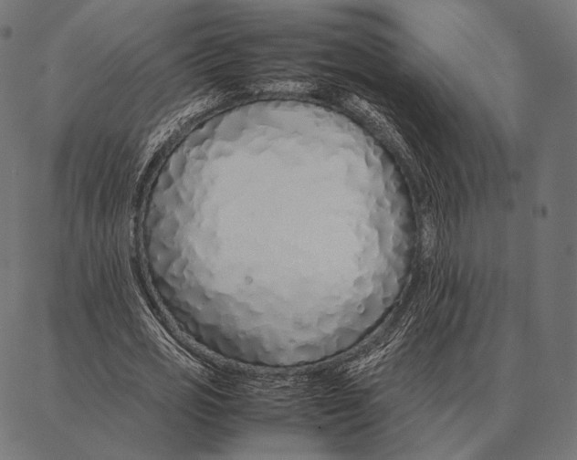 X0000087360725200705181151