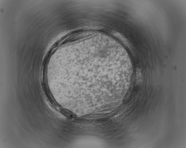 X0000087360726200705181151