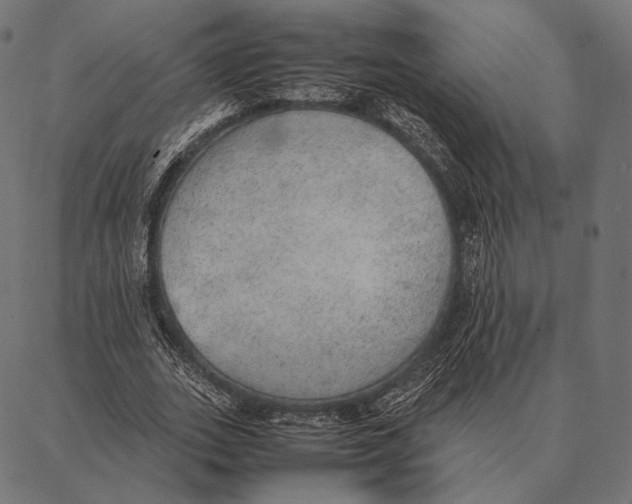 X0000087360727200705181151