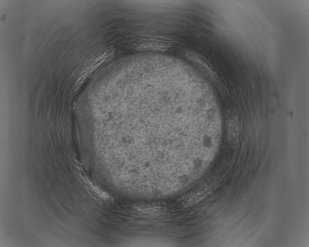 X0000087360729200705181151