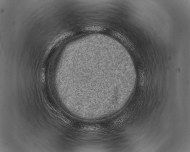 X0000087360731200705181151