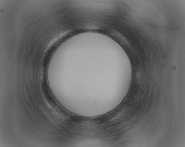 X0000087360732200705181151