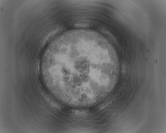 X0000087360733200705181151