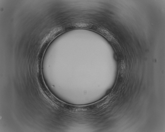 X0000087360734200705181151