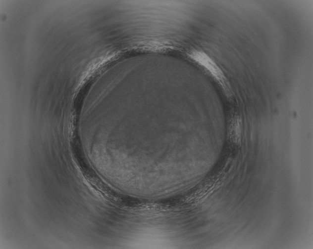 X0000087360736200705181151