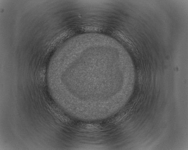 X0000087360737200705181151