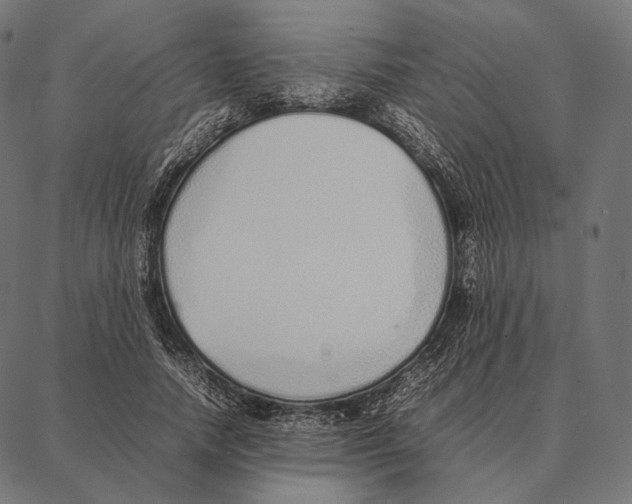 X0000087360738200705181151