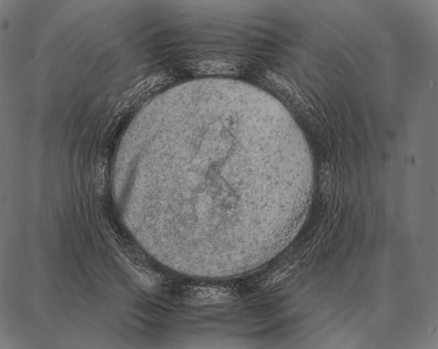 X0000087360741200705181151