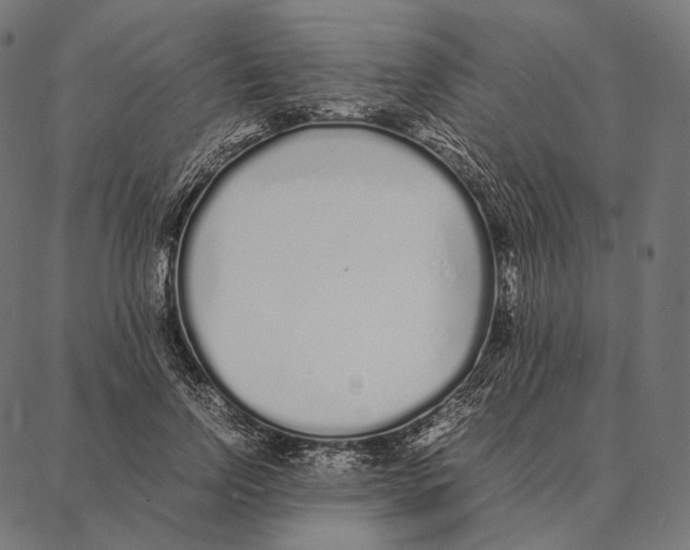 X0000087360742200705181151