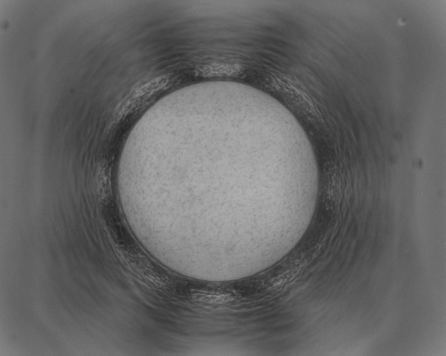 X0000087360743200705181151