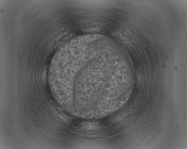 X0000087360745200705181151