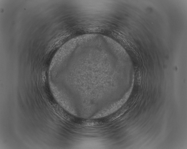 X0000087360746200705181151