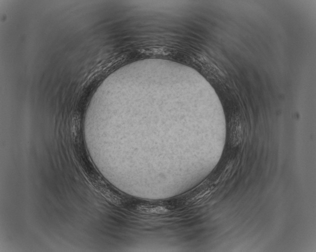 X0000087360747200705181151