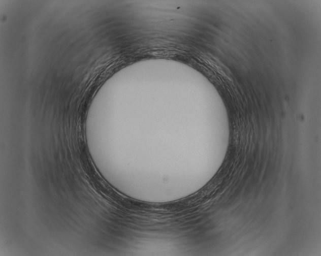 X0000087360748200705181151