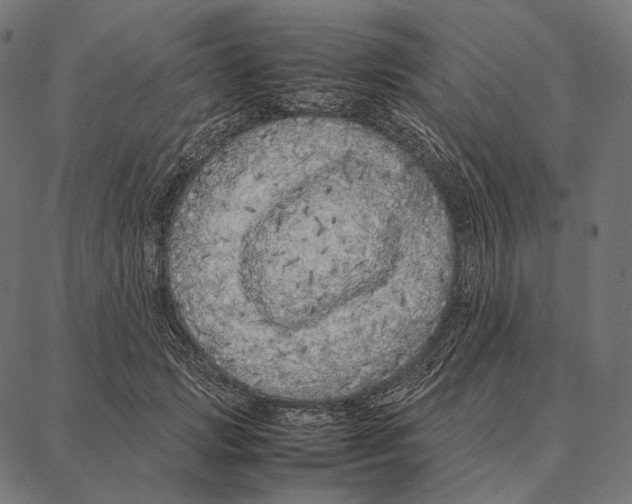 X0000087360749200705181151