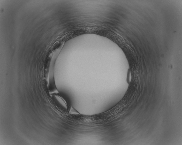 X0000087360750200705181151