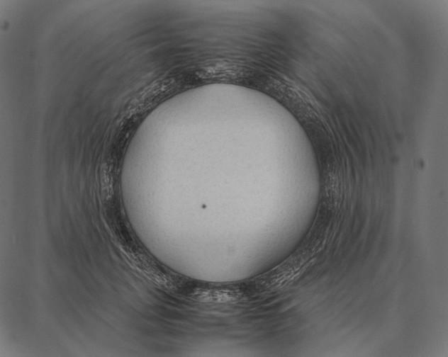 X0000087360751200705181151