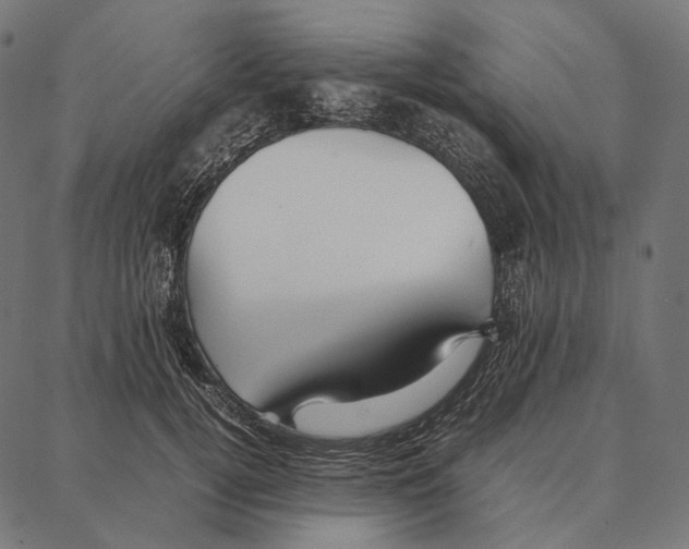 X0000087360752200705181151