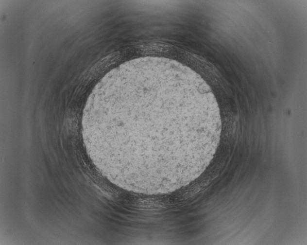 X0000087360753200705181151