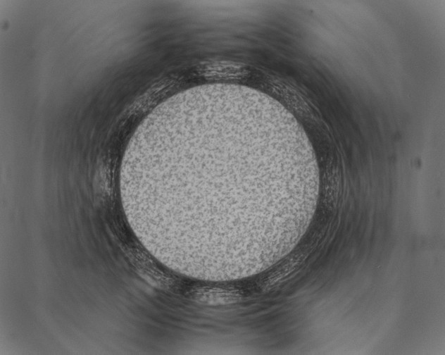 X0000087360755200705181151